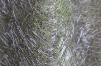 Sawbridgeworth fibreglass roof work